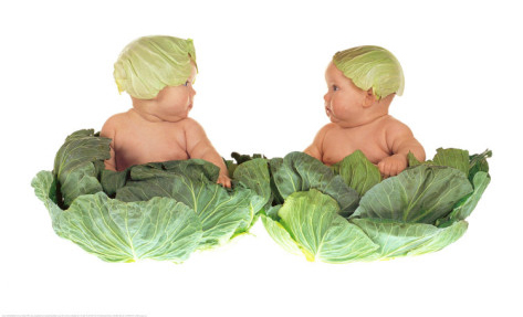 Anne Geddes, Cabbage kids
