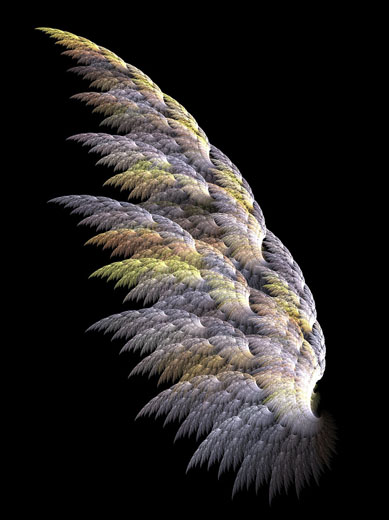 Fractal Angel Wing by Shadoweddancer, Deviant art