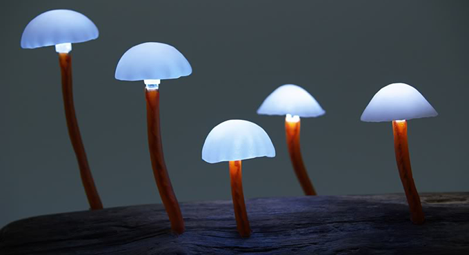 LED Mushroom Lights by Yukio Takano http://bit.ly/1nDrIus