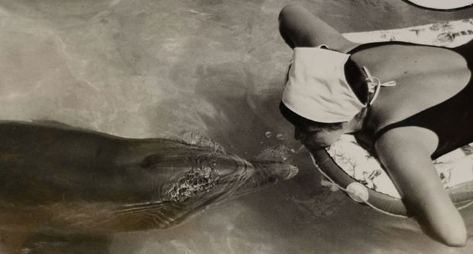 Margaret Howe Lovatt, The girl who talked to dolphins, BBC