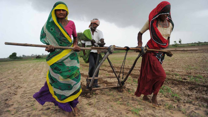 Žene rade u polju, Indija