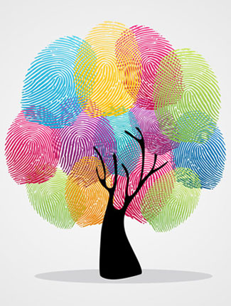 Finger prints diversity tree