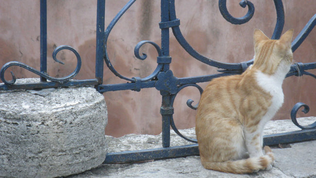 Istanbul-2013