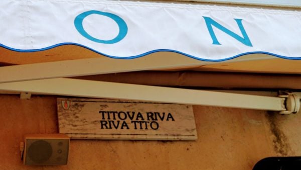 Foto: Neda Radulović-Viswanatha