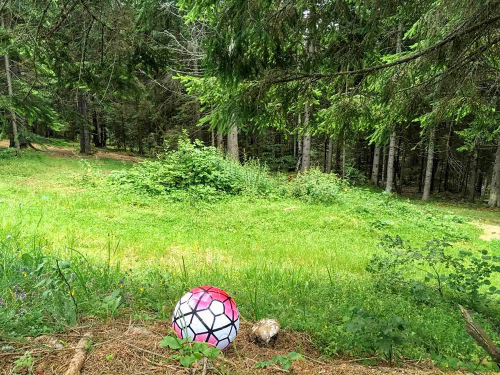 Lopta u šumi