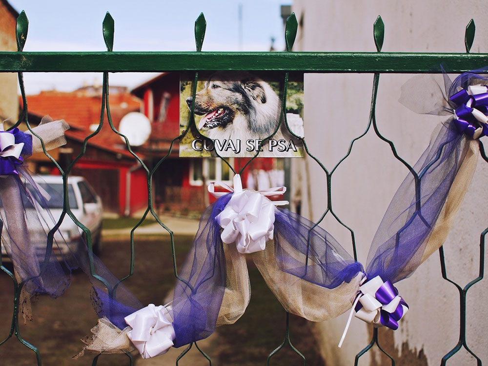 Kapija ukrašena za svadbu, foto: Predrag Trokicić