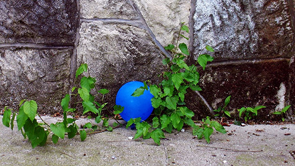 Plavi balon, foto: Predrag Trokicić