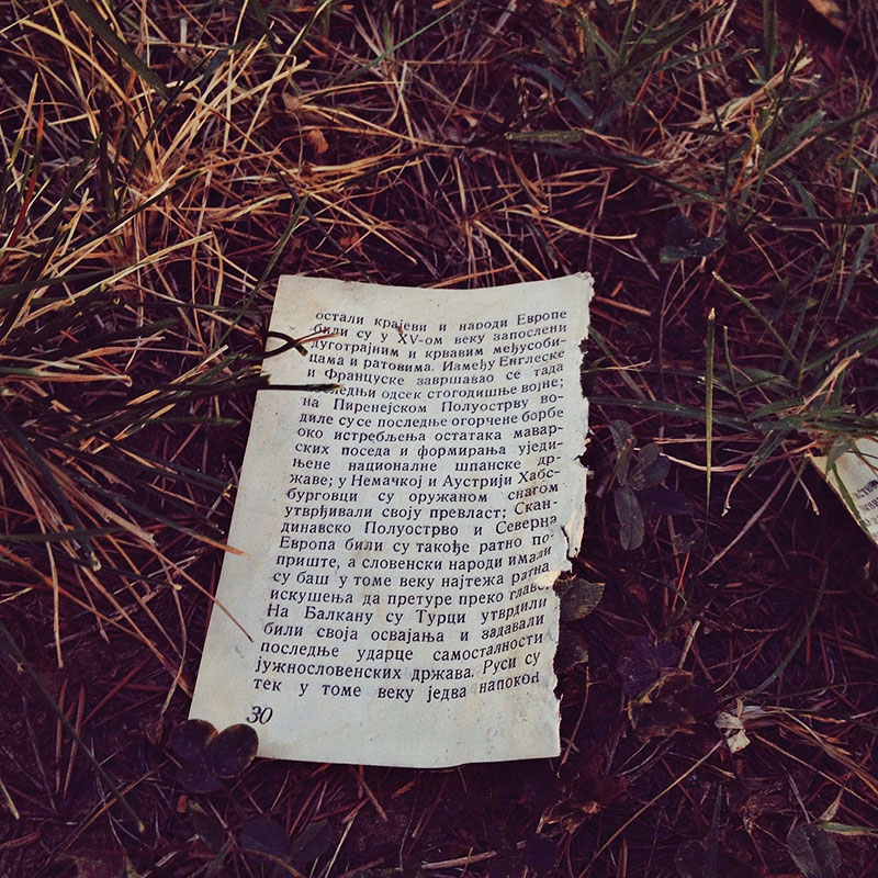 iscepana stranica iz knjige u travi