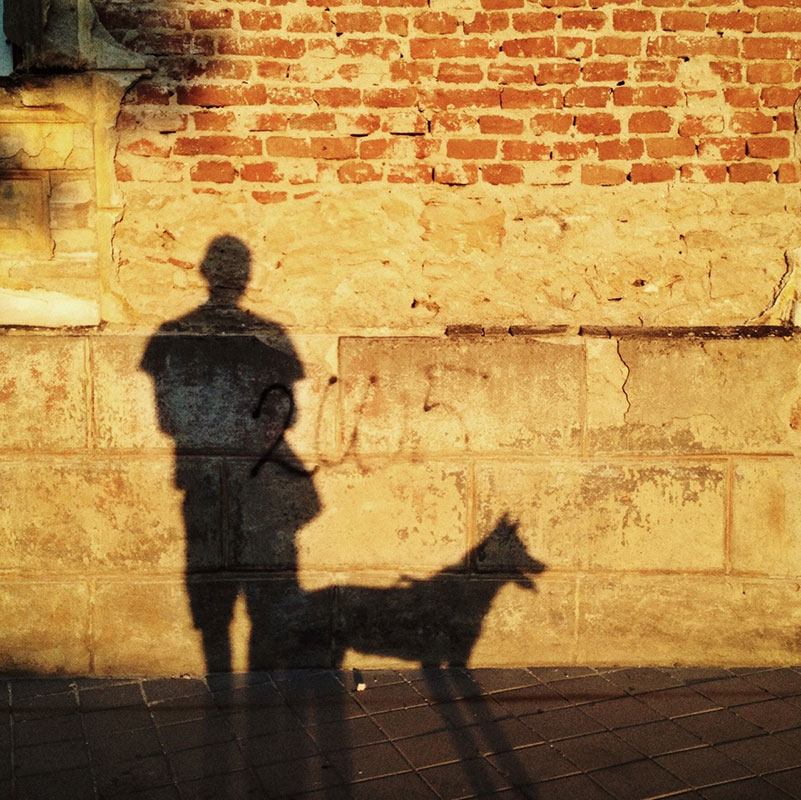 senke na zidu - čovek i pas