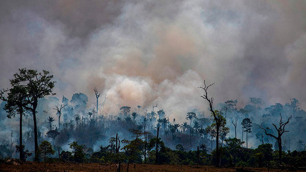 Požar u Brazilu, foto: AFP/Getty Images