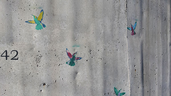 Ptice nacrtane na zidu