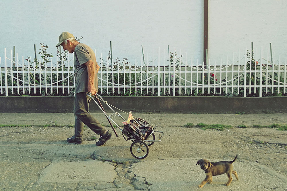 Starac vuče kolica, a za njim ide mali pas