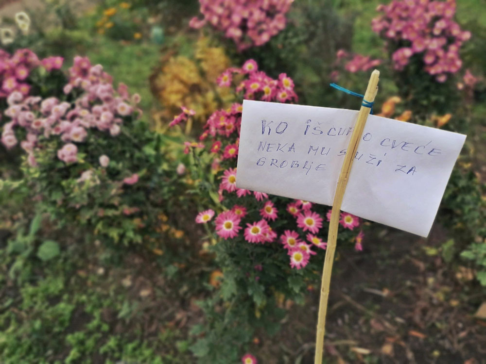 Upozorenje: Ko iščupa cveće neka mu služi za groblje