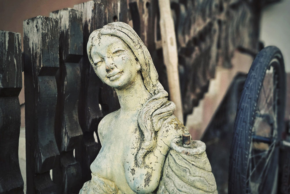 kip žene