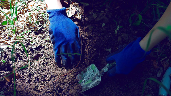 ruke u baštenskim rukavicama koje kopaju zemlju