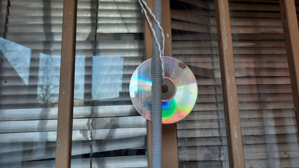 kompakt disk u prozoru