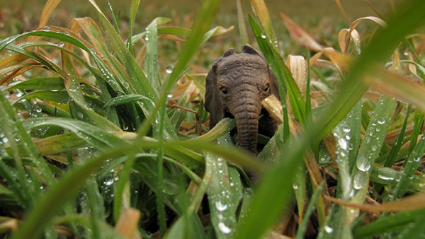 igračka slon u travi