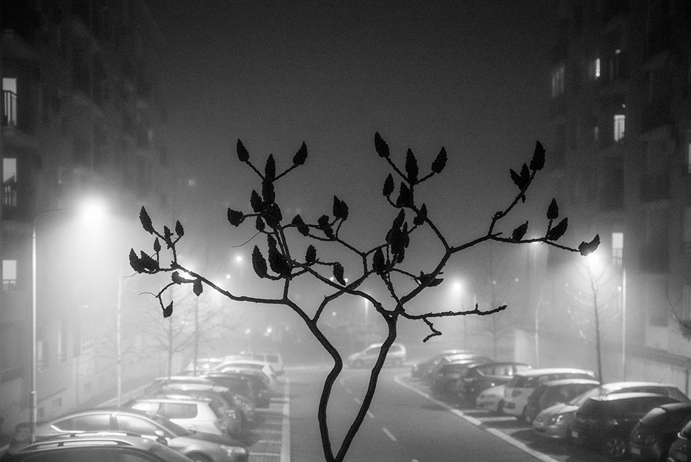 ulica u magli