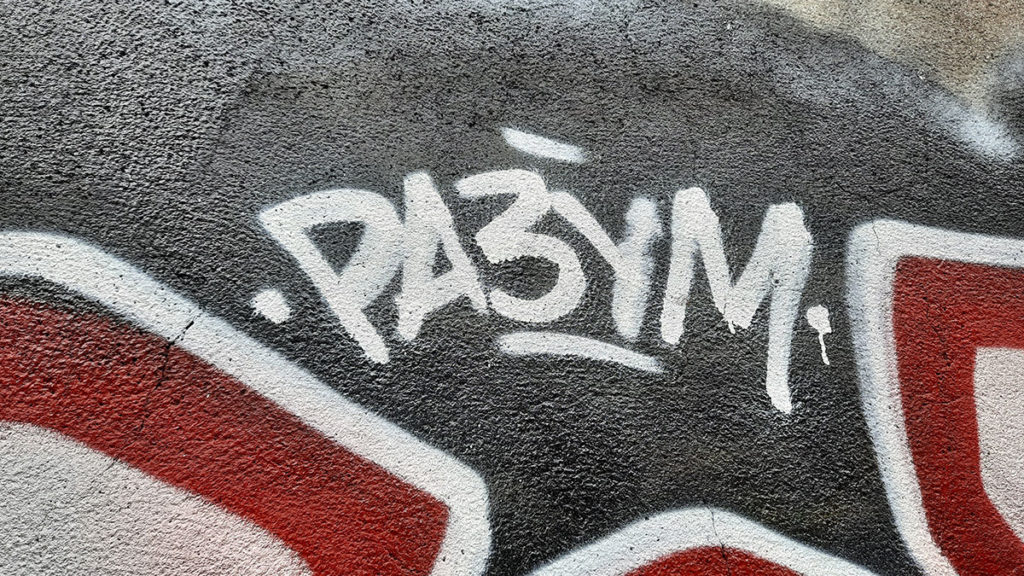 Grafit: Razum