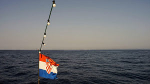 Foto: Neda Radulović-Viswanatha