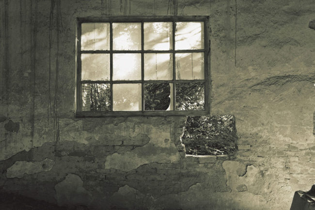 Foto: Predrag Trokicić