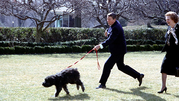 Laki, Regan i Tačer, Bela kuća 1985, foto: Reagan White House Photographs/Wikimedia Commons