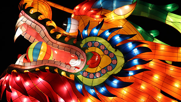 Kineski zmaj, foto: Luke Price/Wikimedia Commons