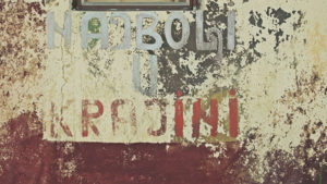 Foto: Predrag Trokicić
