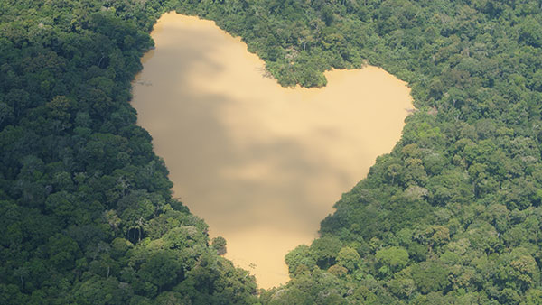 Amazonija, foto: Ivancana/Wikimedia Commons