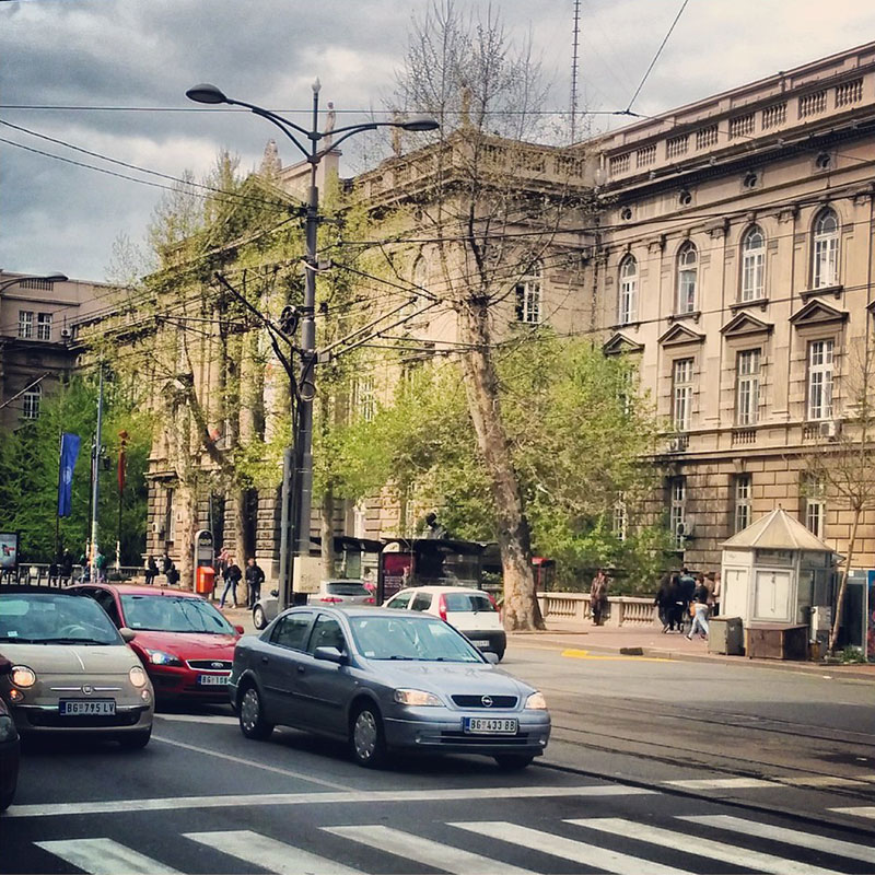 Foto: Rade Vilimonović Foto: Rade Vilimonović