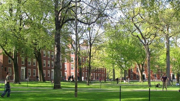 Harvard, foto: Mancala/Wikimedia Commons
