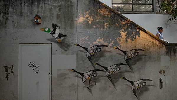 Foto: Vedran Bukarica