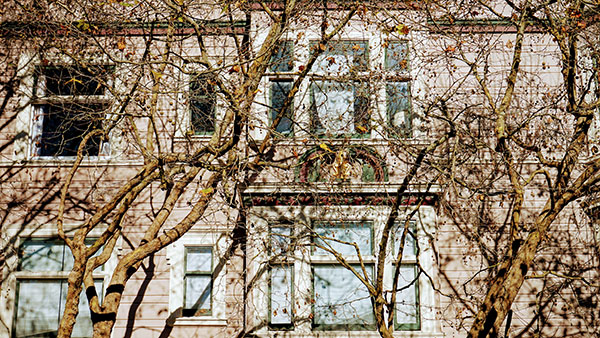 Foto: Neda Radulović-Viswanatha