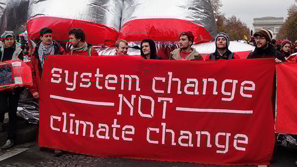 Foto: Neda Radulović-Viswanatha