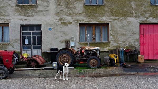 Foto: Predrag Trokicić