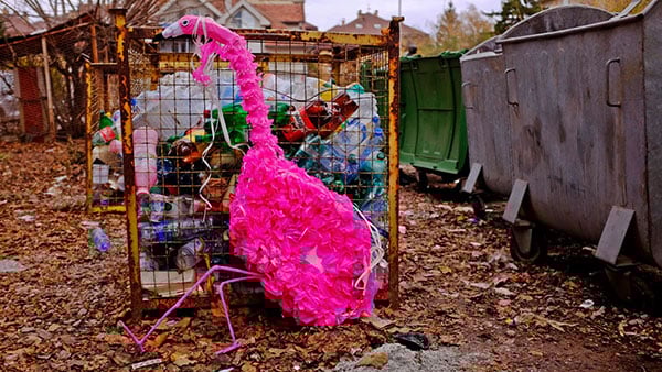 Foto: Predrag Trokicić