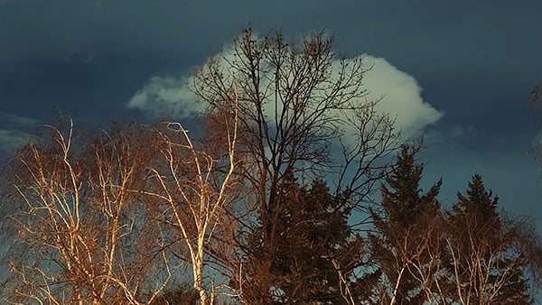 Foto: Predrag Trokicić