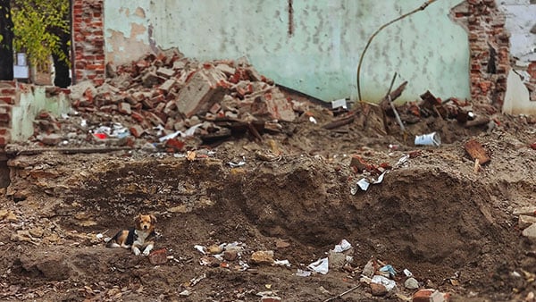 Foto: Predrag Trokicić