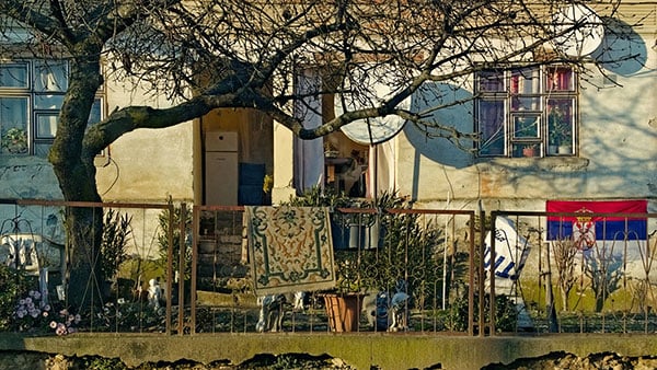 Foto: Predrag Trokicić