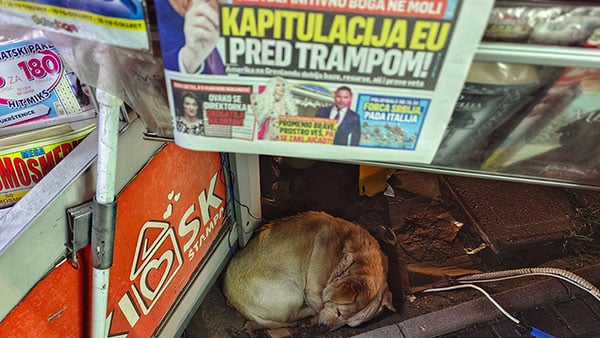 Foto: Predrag Trokicić