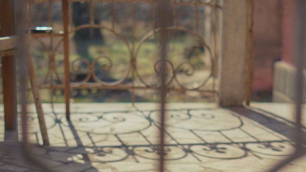 Foto: Predrag Trokicić