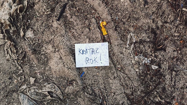 Foto: Predrag Trokicić