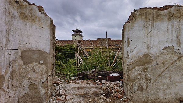 Foto: Predrag Trokicić