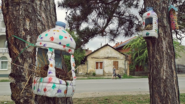 Foto: Predrag Trokicić