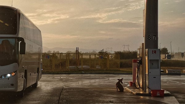 Foto: Predrag Trokicić