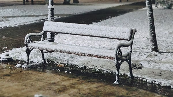 Foto: Predrag Trokicić