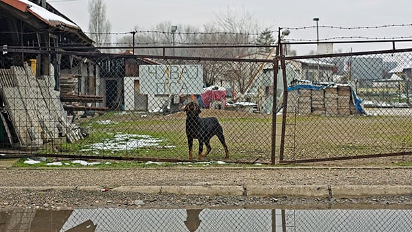 Foto: Predrag Trokicić
