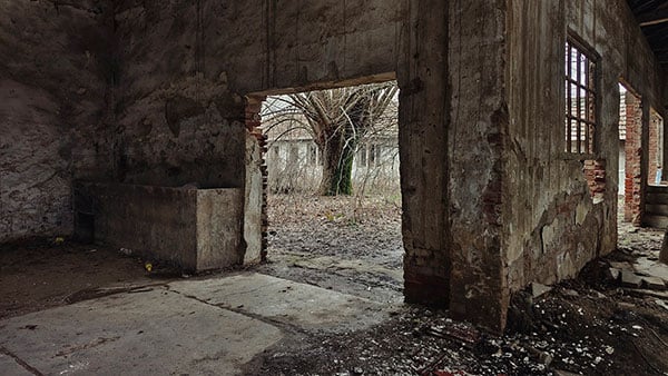 Foto: Predrag Trokicić