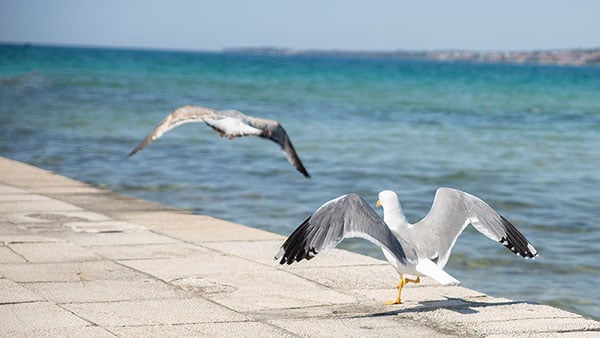Foto: Vedran Bukarica