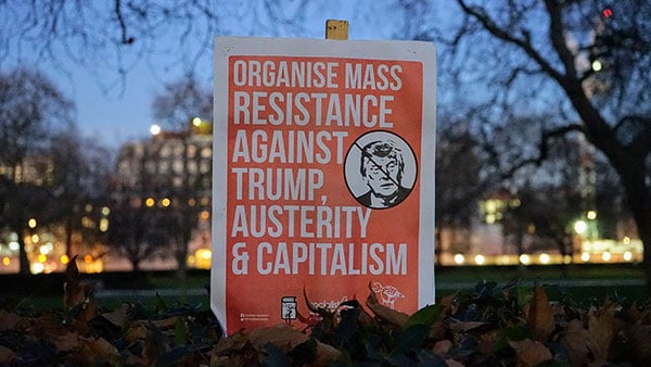 Foto: Neda Radulović-Viswanatha